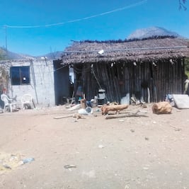 El sueño americano ahora es pesadilla