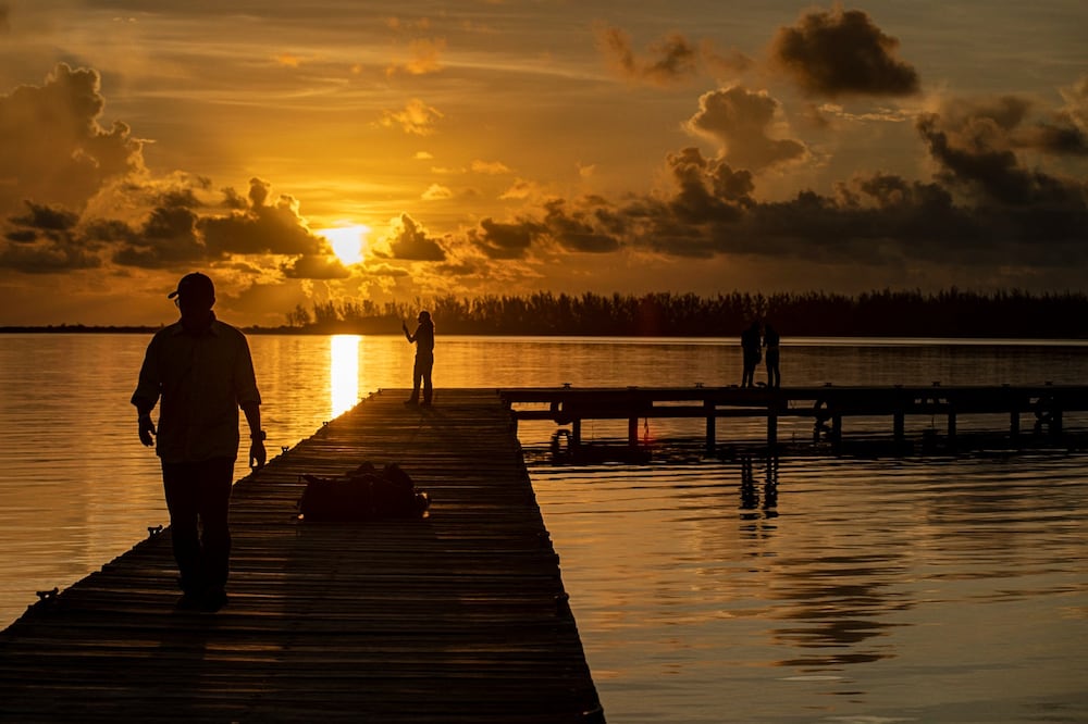 Los empresarios deben cuidar la verdadera materia prima de sus negocios: el planeta. CRÉDITO: Octavio Aburto-Oropeza