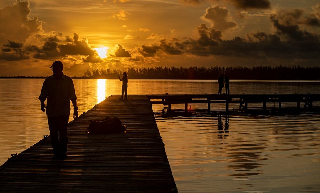 Los empresarios deben cuidar la verdadera materia prima de sus negocios: el planeta. CRÉDITO: Octavio Aburto-Oropeza
