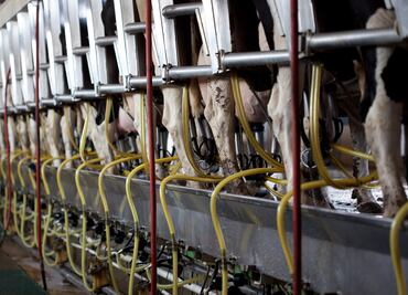 Llegará a 3 mil millones de dólares superávit agroalimentario: Sagarpa