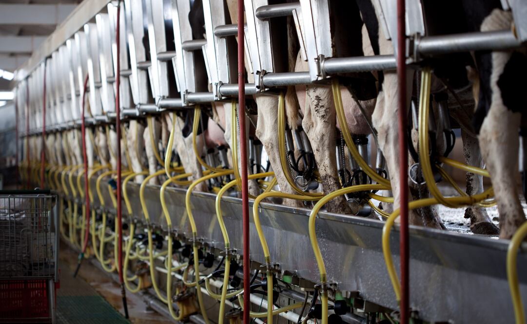 (Foto: Archivo EL UNIVERSAL)