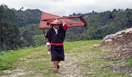 Narrativas indígenas ganan reflectores