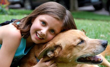 Tener un perro reduce el riesgo de morir, revela estudio