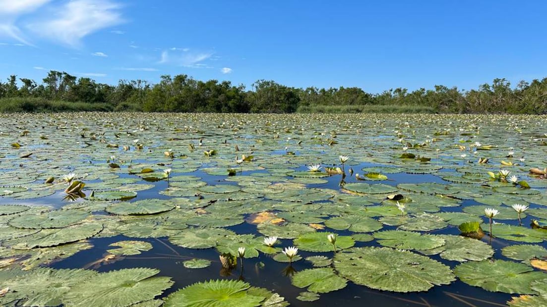 Foto: Fidetur Acapulco