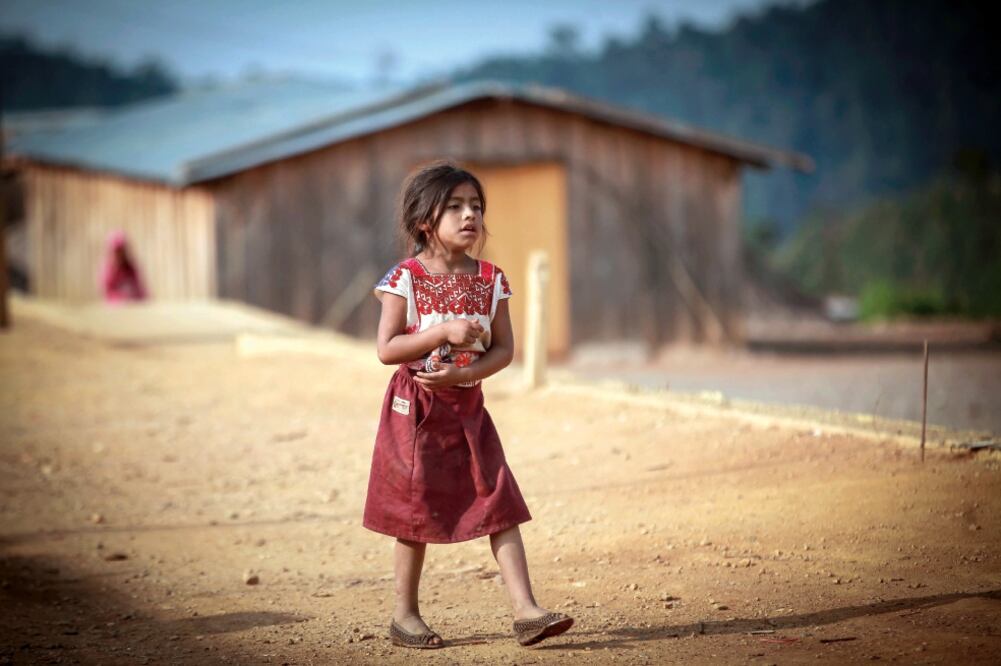 Para los niños de la comunidad es habitual el tema de la amapola, incluso saben que dentro de sus casas hay fertilizantes y semillas (JORGE SERRATOS)