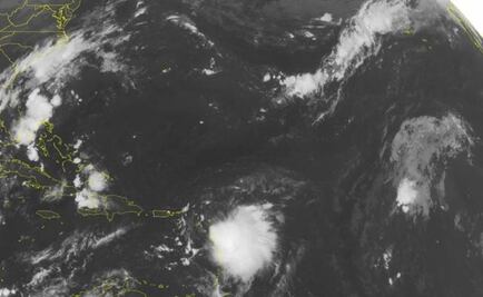 Florida declara estado de emergencia por tormenta "Erika"