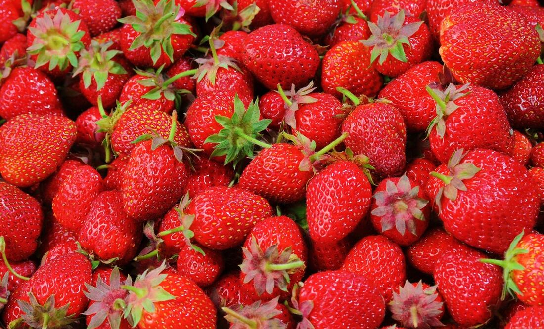 Las fresas tienen un tiempo de conservación muy corto, sin embargo, puedes alargar la frescura de estas frutas / Foto: Pixabay