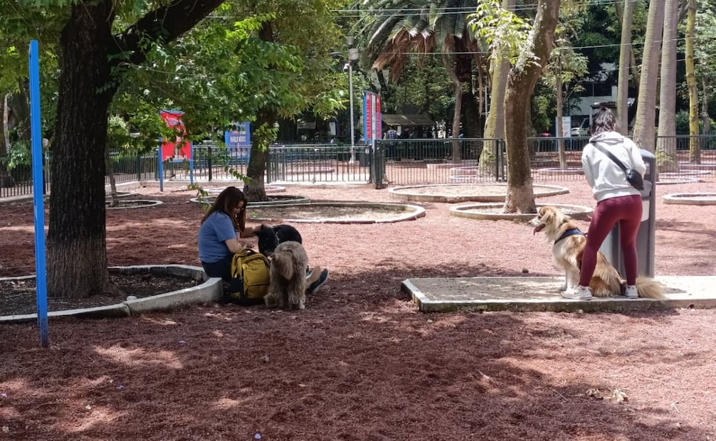 Cuauhtémoc reabre área de perros en Parque México. Foto: especial