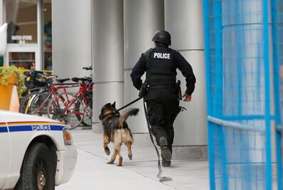 Hombre en EU muerde y estrangula a perro policía durante persecución