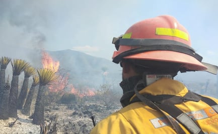 Combaten cuatro incendios forestales en Nuevo León