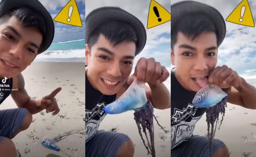 Alexa Reed fue quien subió el video a TikTok. 