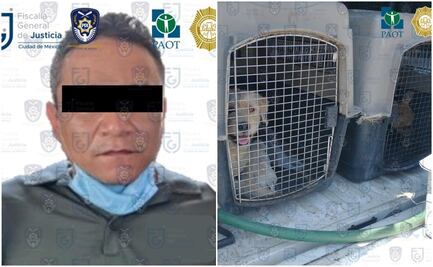 Cae sujeto acusado de maltratar y asesinar a perros en la GAM