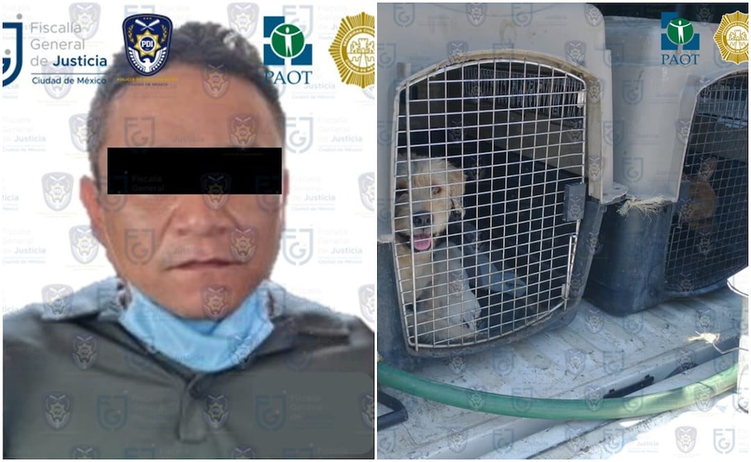 Foto: cortesía FGJ de la CDMX