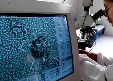 Logran obtener esperma de hombres estériles in vitro