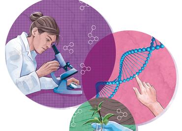 Mujeres en la ciencia pierden terreno sin políticas a su favor