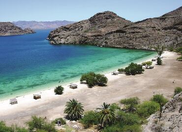 Prevén ocupación hotelera de 85% en BCS