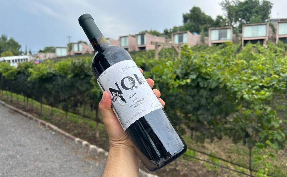 Foto: Alan Nájera / El Universal