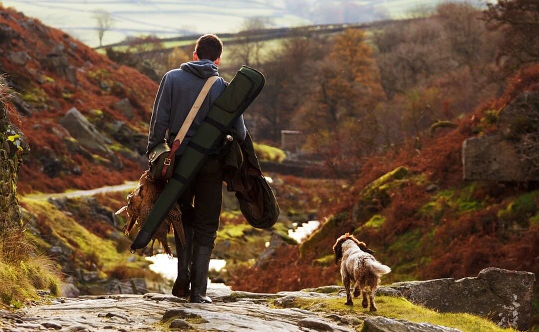 Foto: Ilustrativa. Pixabay