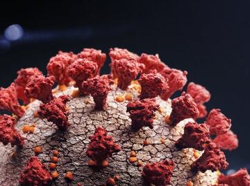 "Esta variante nos sorprendió": ¿por qué la variante ómicron del coronavirus preocupa a expertos?