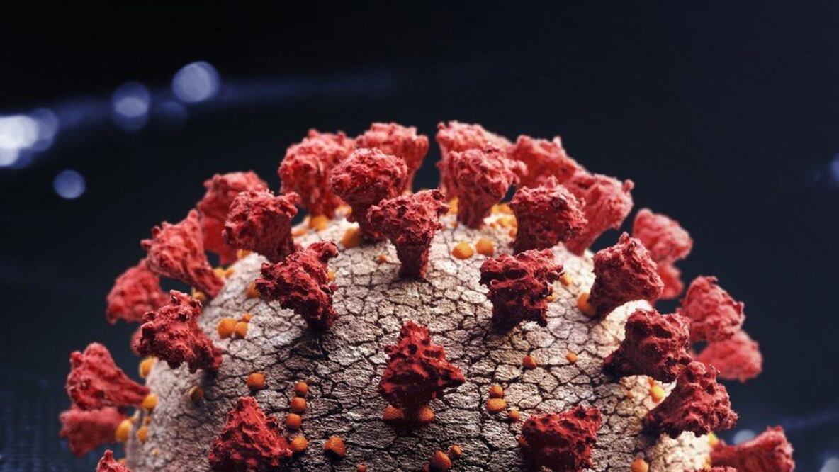 Imagen: Getty Images