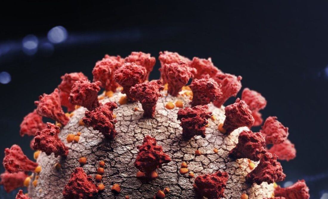 Imagen: Getty Images