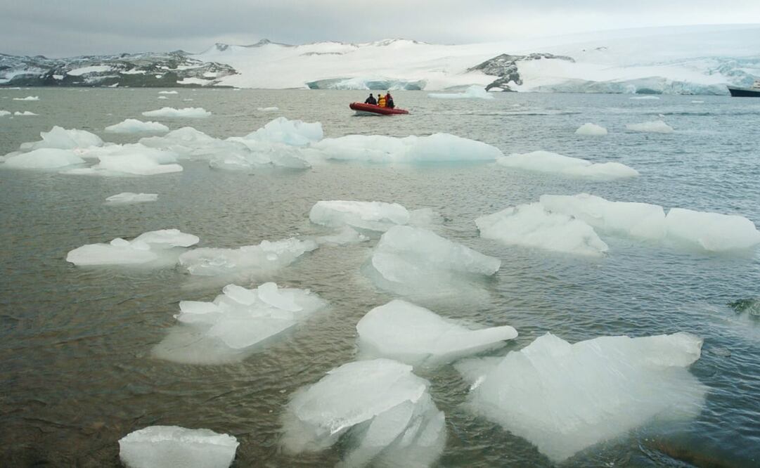 Asociaciones de defensa del medioambiente se manifestaron hoy frente a la Puerta de Brandeburgo de Berlín. Foto: EFE/Cézaro De Luca