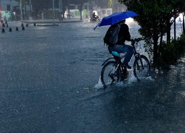 Lluvias del miércoles en CDMX dejan 51 encharcamientos; reportan caída de árboles y postes durante la madrugada