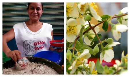 Las guardianas del tejate