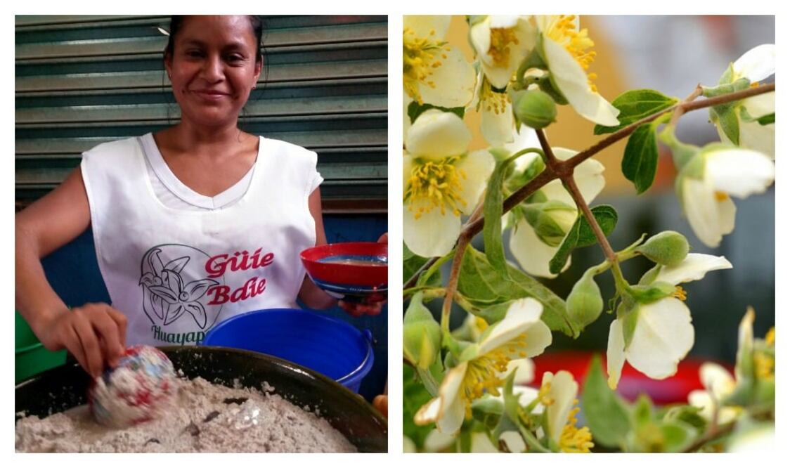 Foto: Rubén Hernández