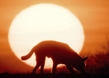 ¿Cuándo y a qué hora es el solsticio de verano 2023?