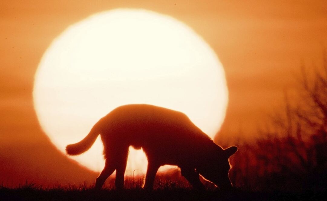 El solsticio marca la entrada del verano o el invierno. Foto: EFE