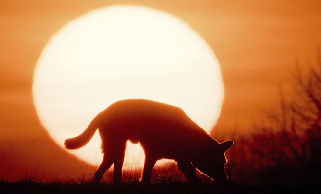 El solsticio marca la entrada del verano o el invierno. Foto: EFE