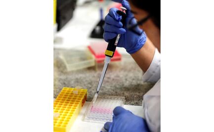 No habrá vacuna para coronavirus antes de 12-18 meses: farmaceútica