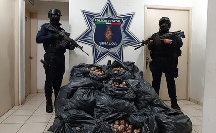 Aseguran en Sinaloa 37 bolsas de plástico con 300 kilos de marihuana