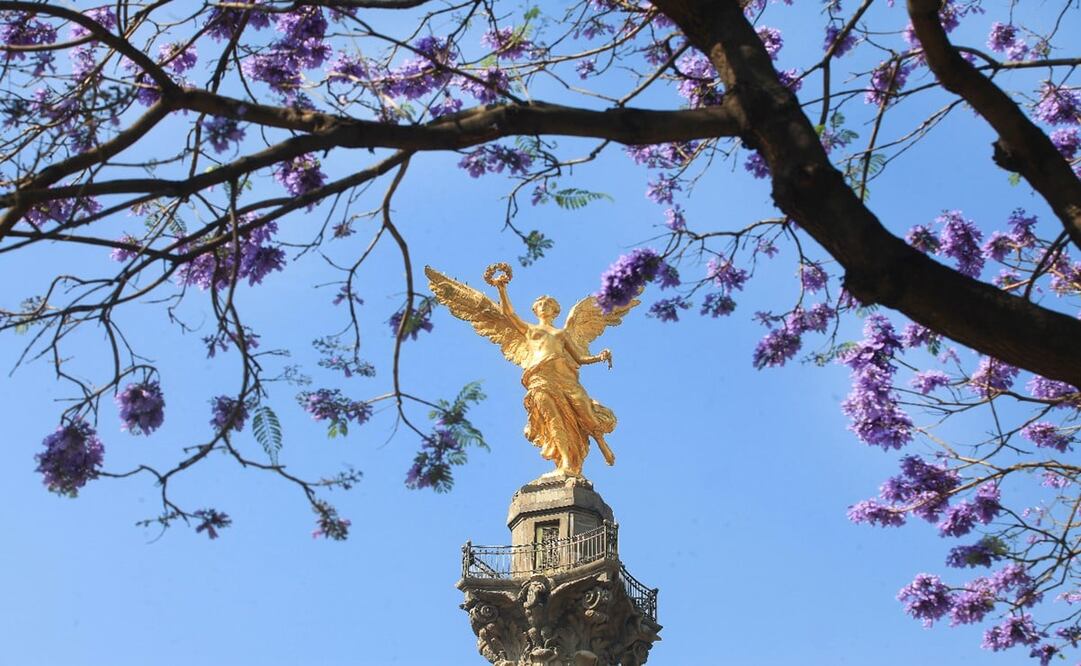 Cada año, el equinoccio de primavera sucede entre el 20 y 21 de marzo - Foto: Adrián Hernández/EL UNIVERSAL