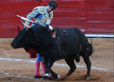 Próximo dictamen significa el final de corridas de toros: Presidenta de Comisión en Congreso de CDMX; peleas de gallos quedan fuera