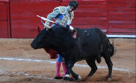 Corridas de Toros en CDMX: Asociaciones piden consulta ciudadana por el tema; aseguran que interfiere con sus expresiones culturales
