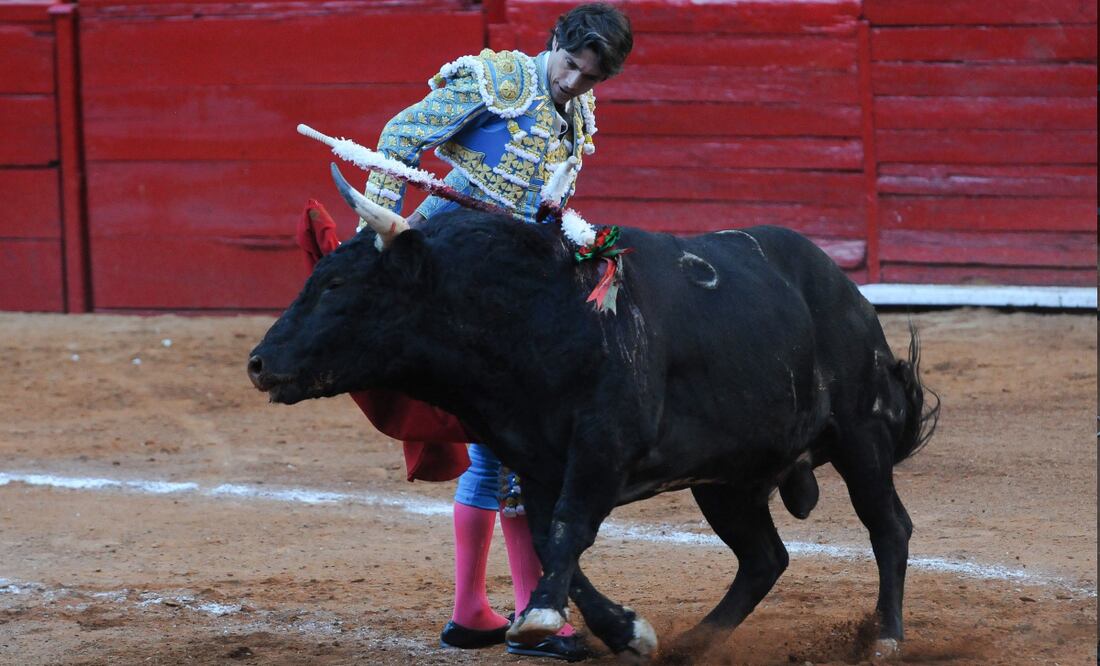 Diputada dice que próximo dictamen significará el fin de las corridas de toros. Imagen ilustrativa. FOTO: DANIEL AUGUSTO /CUARTOSCURO.COM