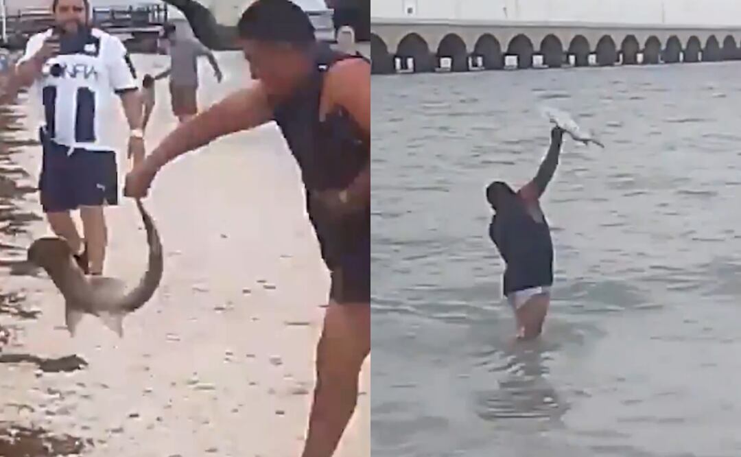El hombre sacó una cría de tiburón martillo en playa de Progreso, Yucatán (20/06/2025). Foto: Captura de video