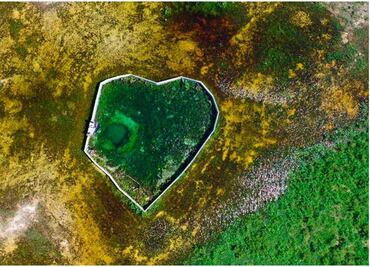 Alertan por casos de cáncer debido a contaminación del agua en Yucatán; las personas tienen mercurio y arsénico en la sangre