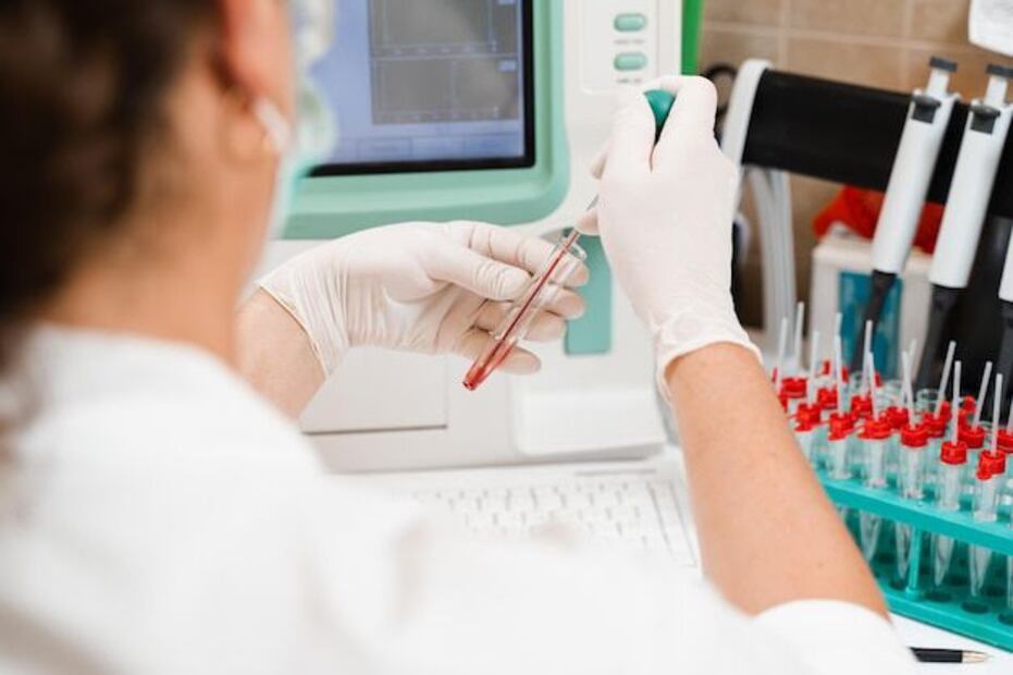 Guía para dueños preocupados. Fuente: Freepik.