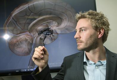 Los primeros cerebros tuvieron su origen en el funcionamiento de células digestivas: estudio