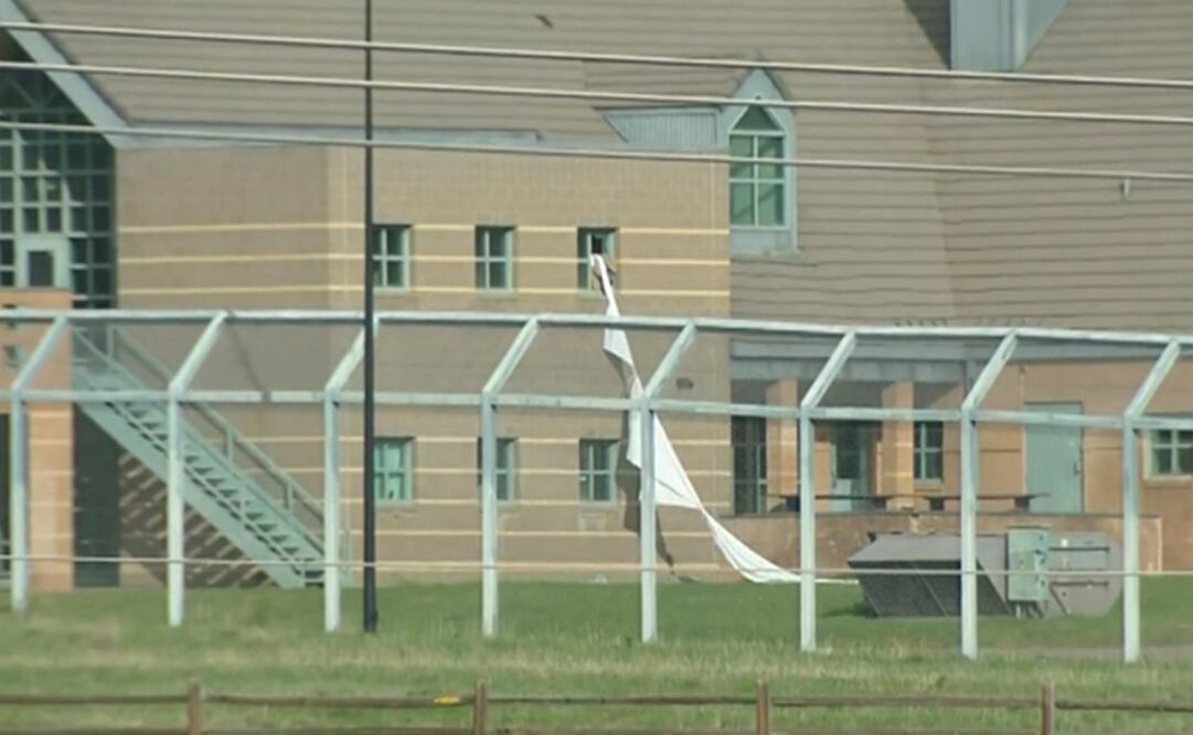 Foto: Captura de pantalla