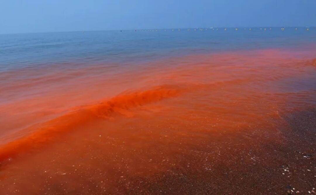Descartan marea roja en costa de Yucatán (12/07/2025). Foto: Especial