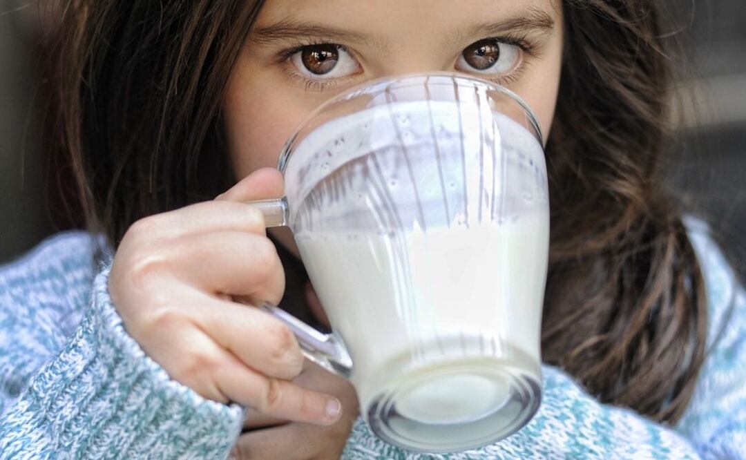 Yogurt para la salud. Fuente: Pixabay