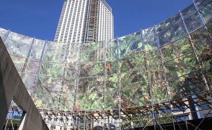 "Selva tropical" mexicana llega al MoMa de NY