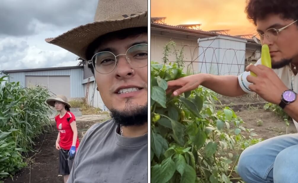 Foto: Captura de pantalla en YouTube