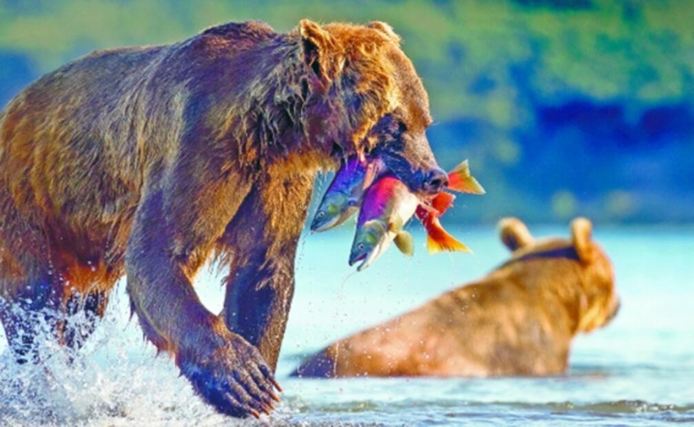 Reconectar con la naturaleza, el propósito de la serie "A perfect planet"