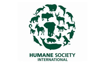 Día mundial de la alimentación: comiendo por nuestra salud