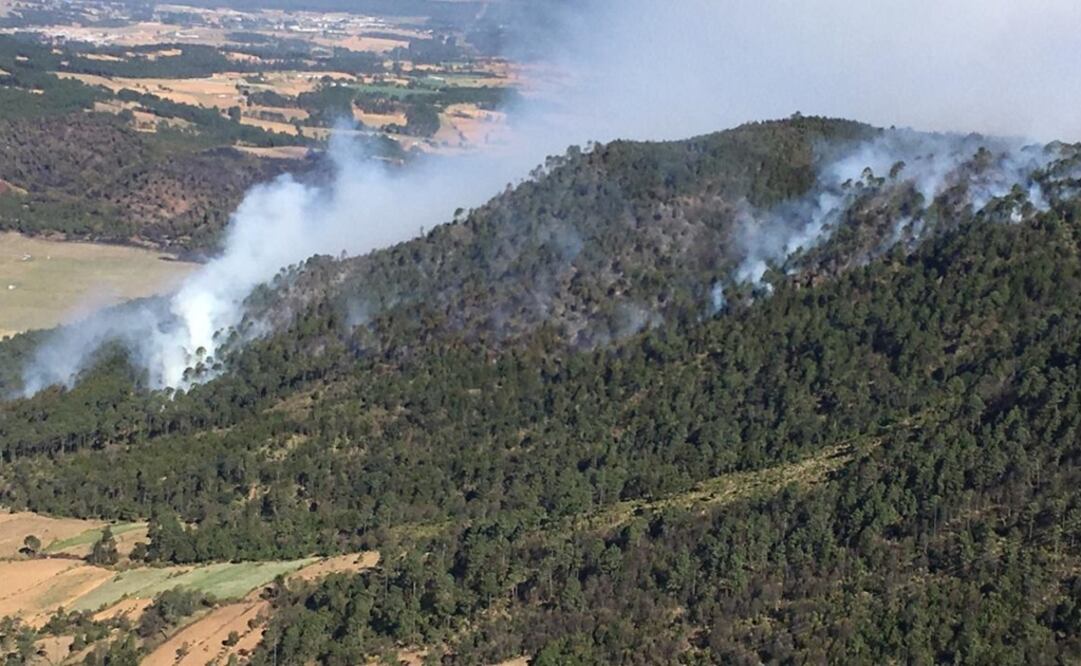 La Conafor detalló que si las condiciones climatológicas son favorables, el miércoles estará 100% controlado. FOTOS: Cortesía